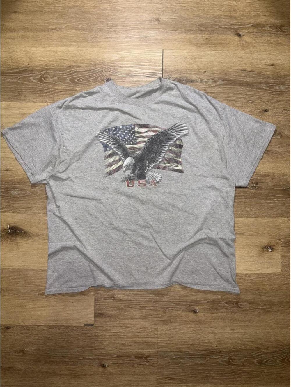 USA American Eagle Flag Graphic Gray T-Shirt
